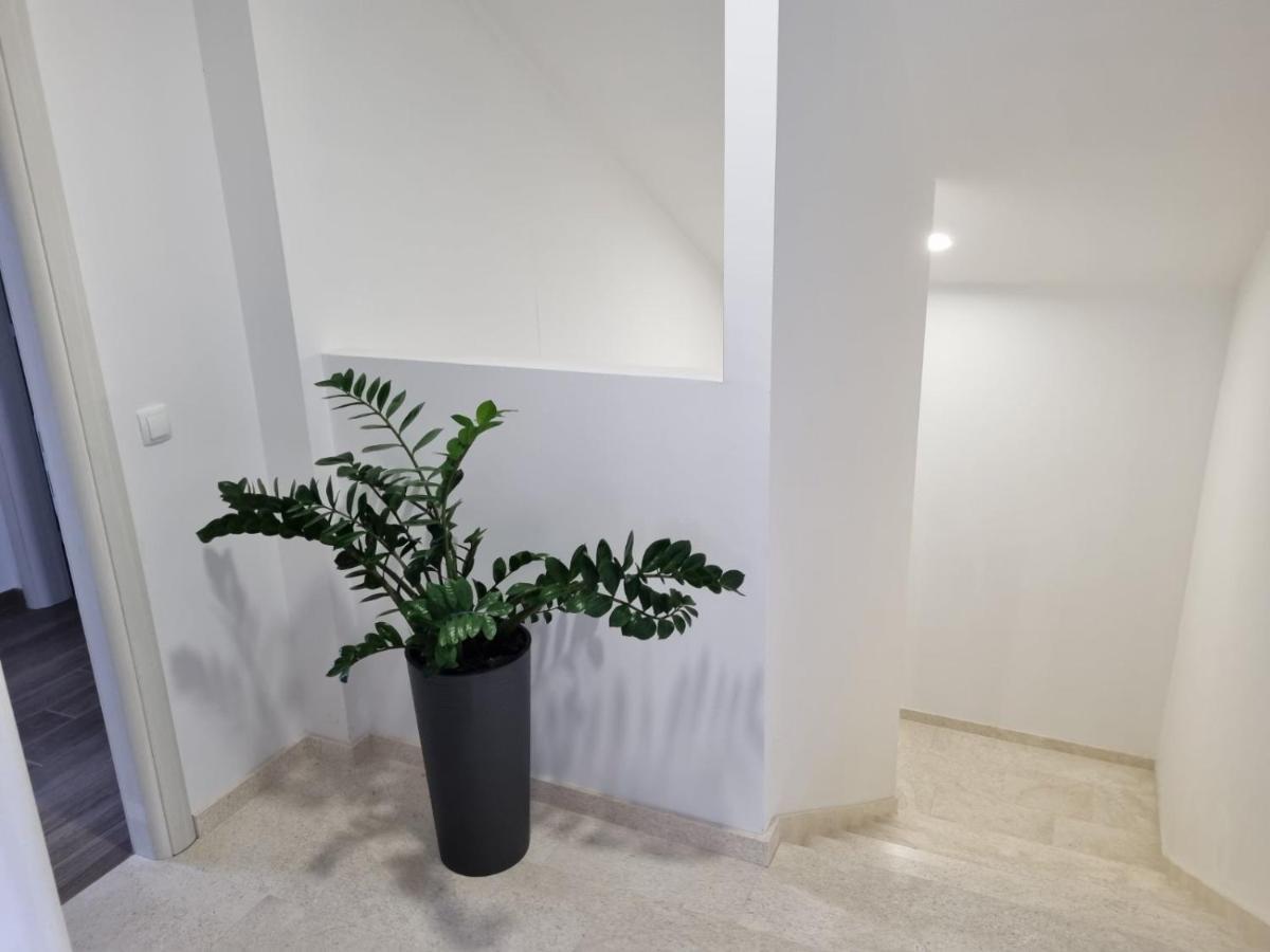 Apartmani Tolj Makarska Kültér fotó