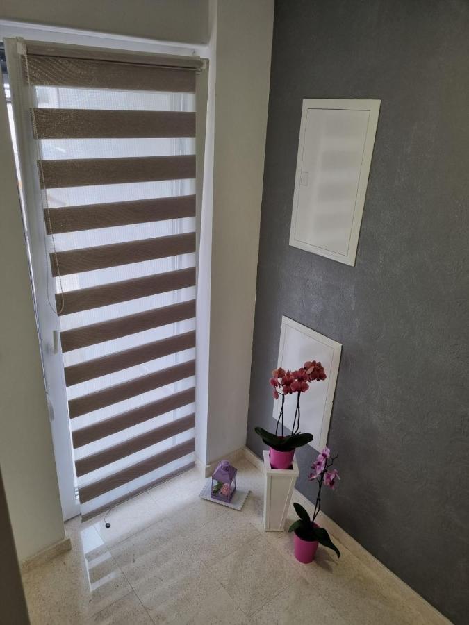 Apartmani Tolj Makarska Kültér fotó